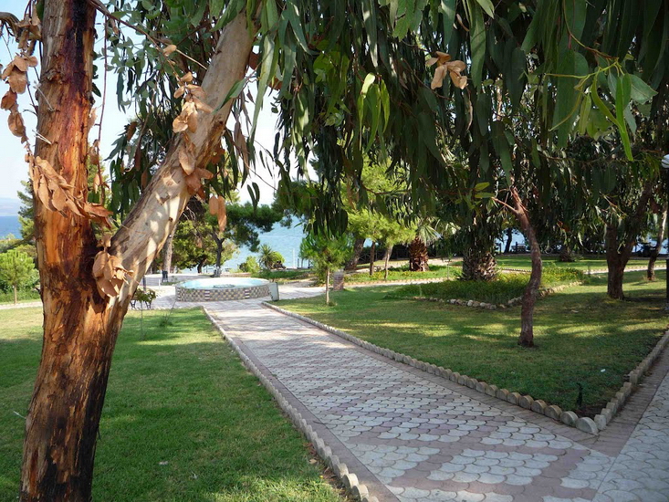  Metamorfosi, Sitonija 